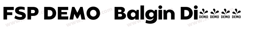 FSP DEMO   Balgin Di字体转换